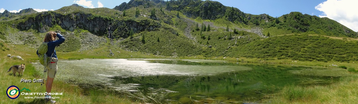 43 Panoramica sul Lago piccolo (1986 m), ricoperto in parte da erbe acquatiche.jpg